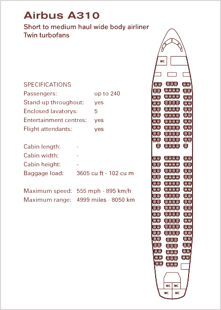 airbus-A310_big